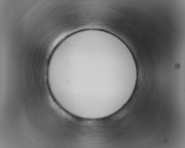 X0000110730950200906121307