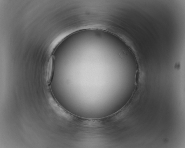 X0000110730952200906121307