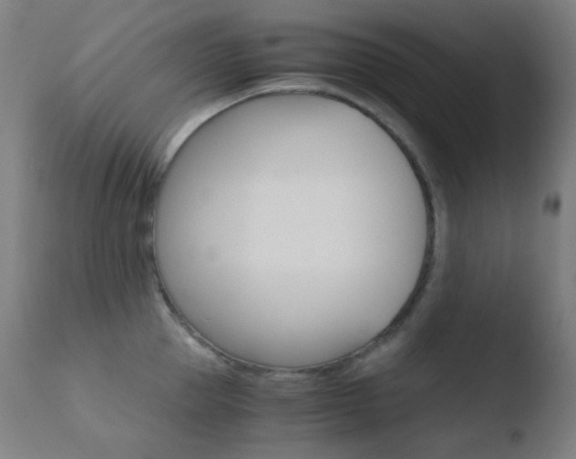 X0000110730953200906121307