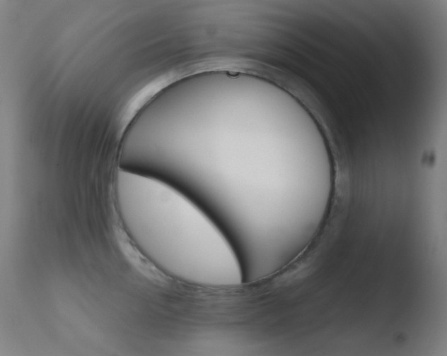 X0000110730954200906121307