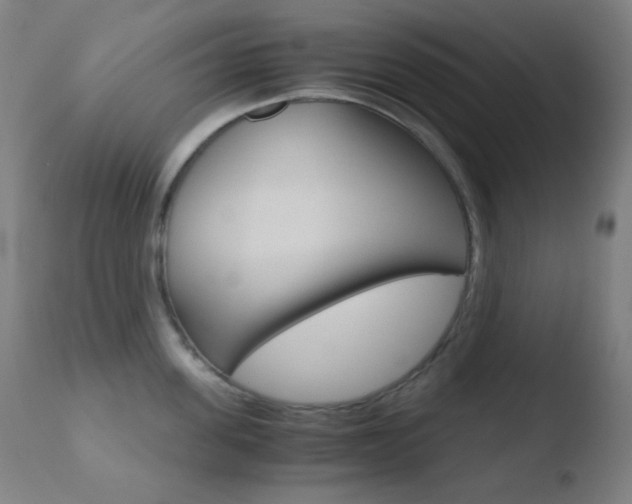 X0000110730955200906121308