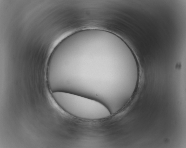 X0000110730957200906121308