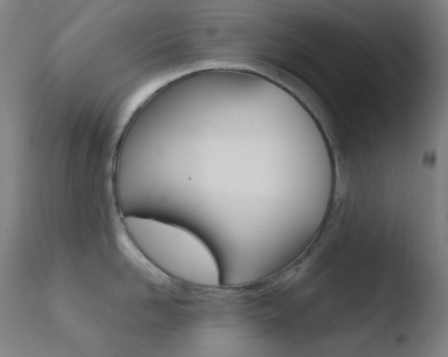 X0000110730958200906121308