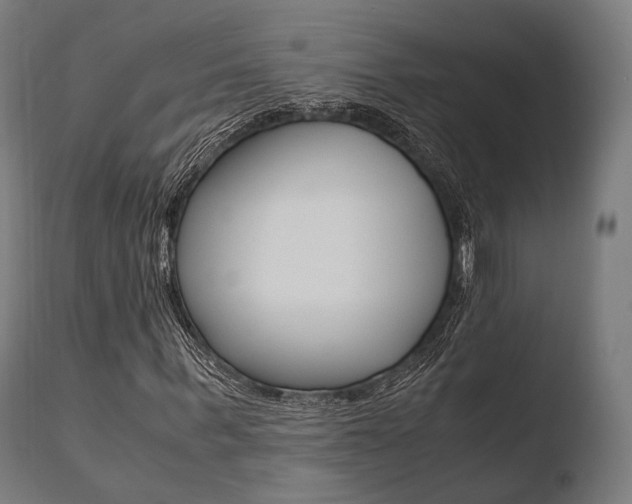 X0000110730963200906121307