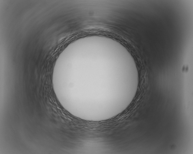 X0000110730965200906121307