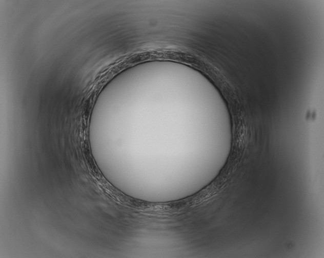 X0000110730966200906121307