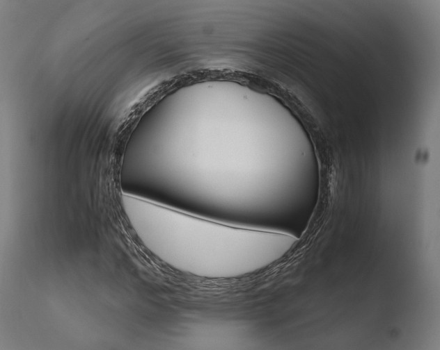 X0000110730968200906121307