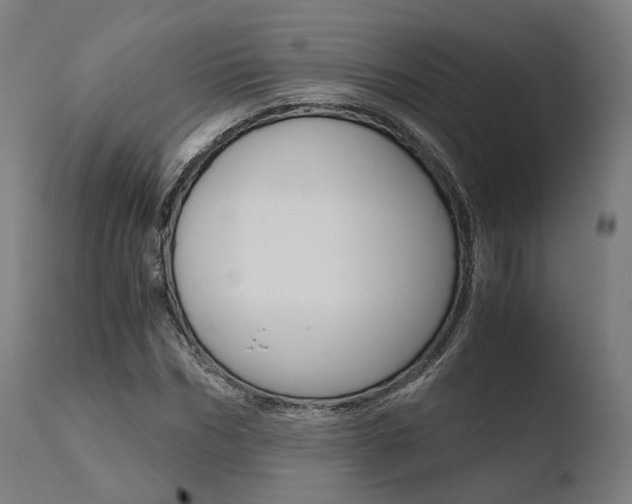 X0000110730970200906121307