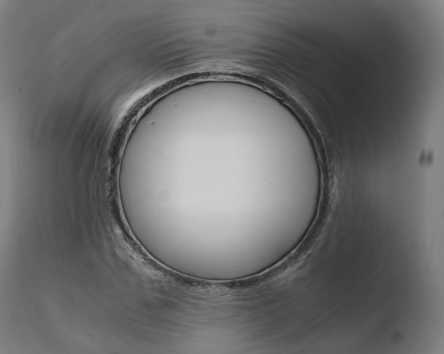 X0000110730971200906121307