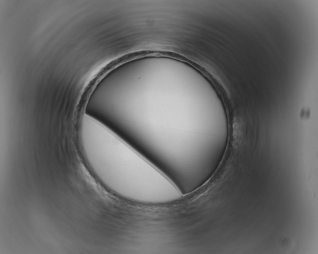 X0000110730972200906121307