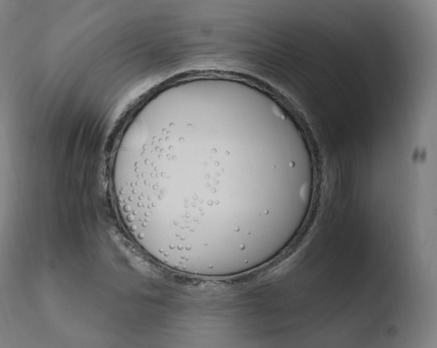 X0000110730974200906121307