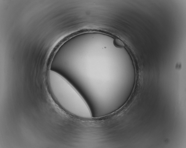 X0000110730976200906121307