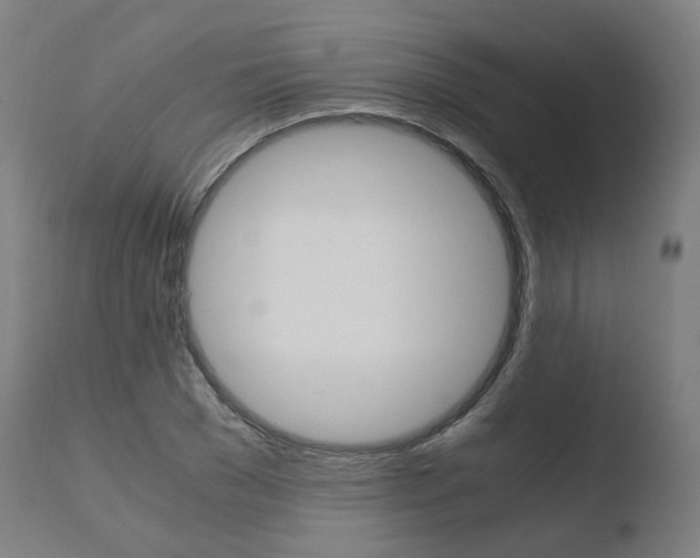 X0000110730977200906121307