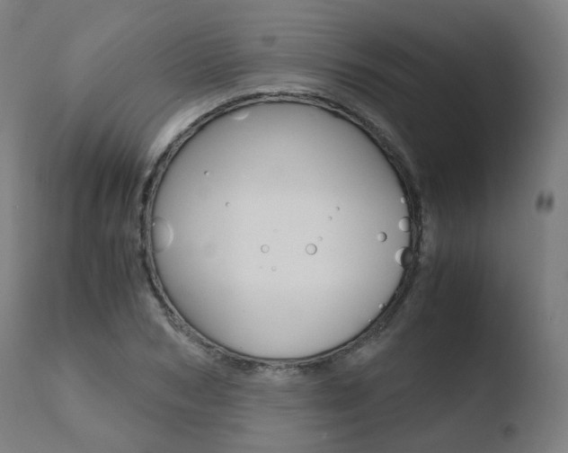 X0000110730978200906121307