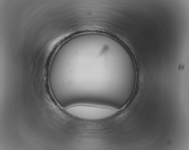 X0000110730979200906121307