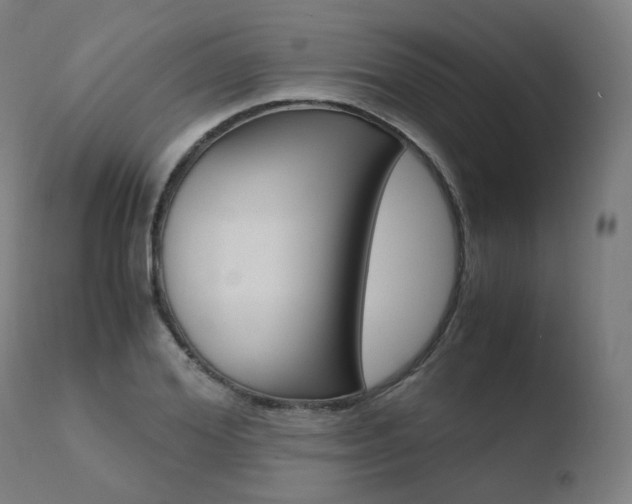 X0000110730980200906121307