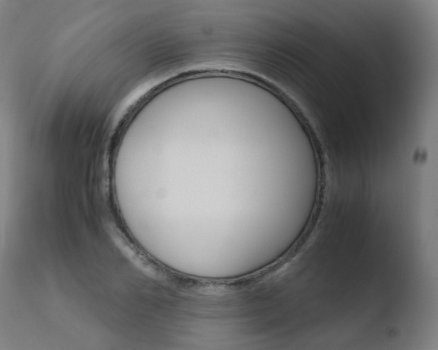 X0000110730982200906121307