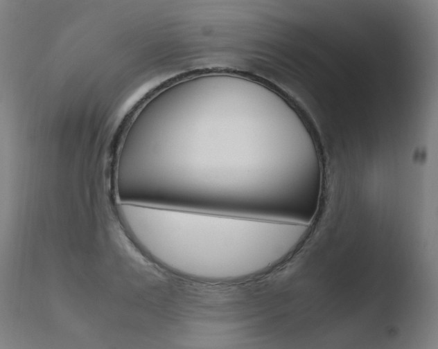 X0000110730983200906121307