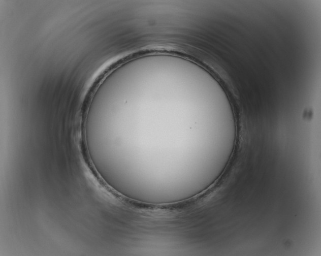 X0000110730984200906121307