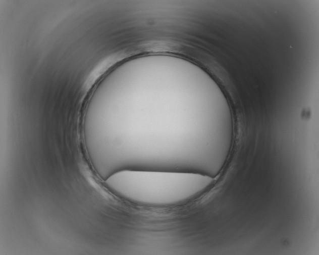 X0000110730986200906121307