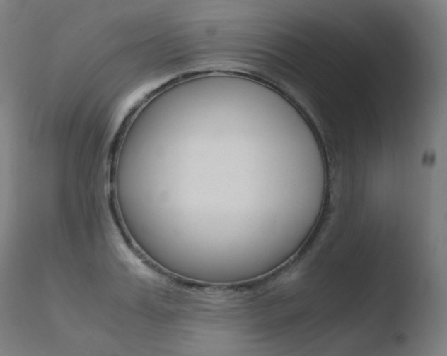 X0000110730987200906121307