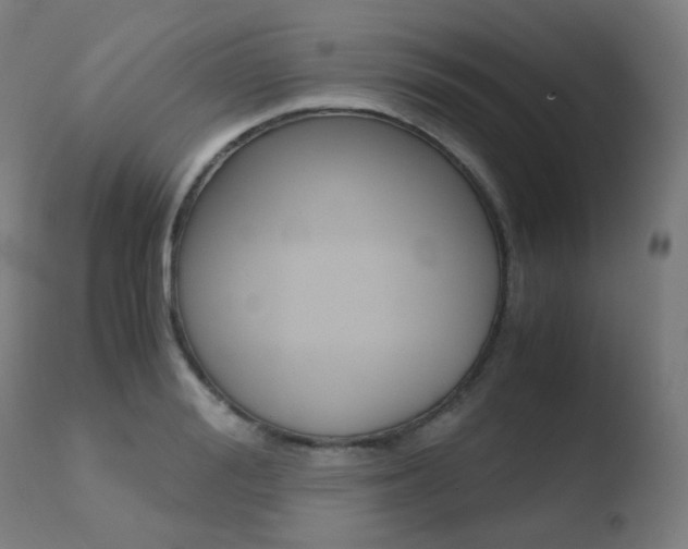 X0000110730988200906121307