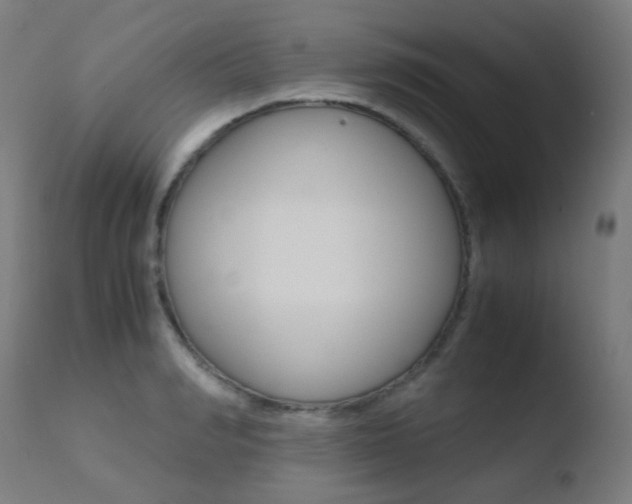 X0000110730990200906121307