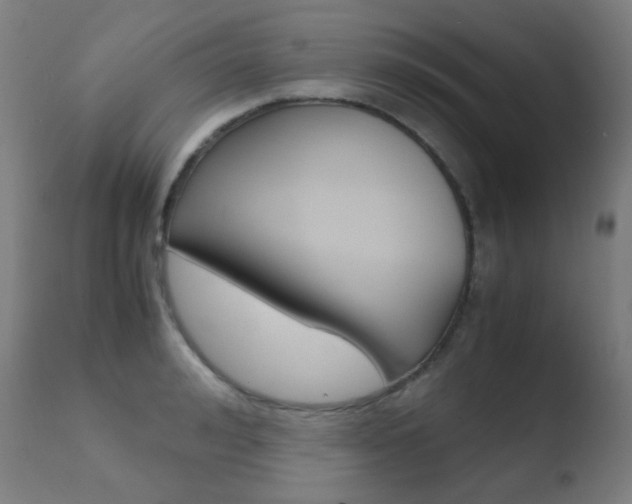 X0000110730992200906121306