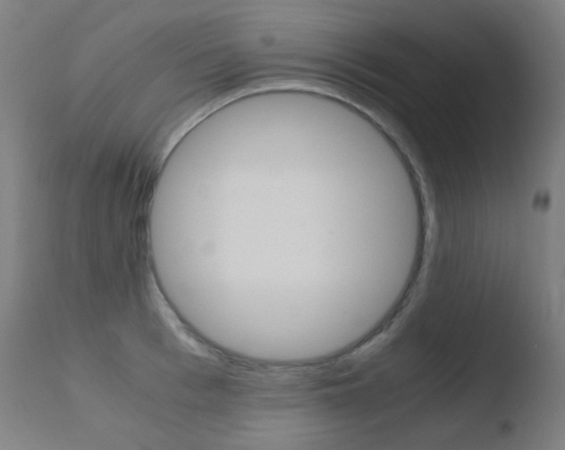 X0000110730993200906121306