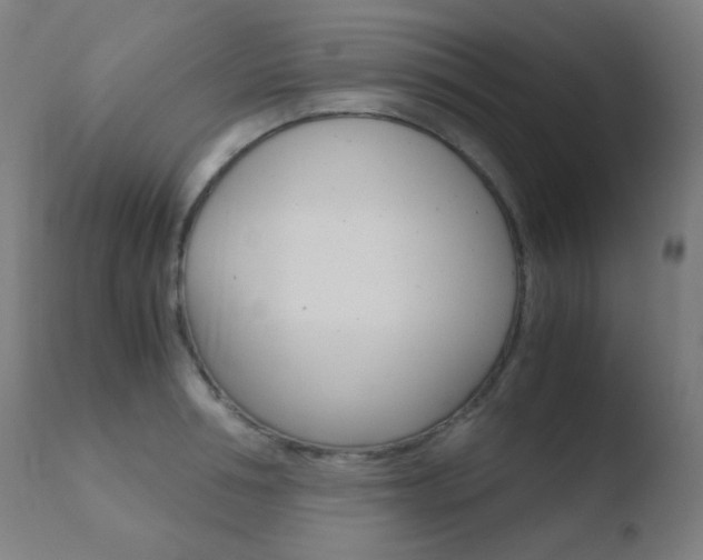 X0000110730994200906121306