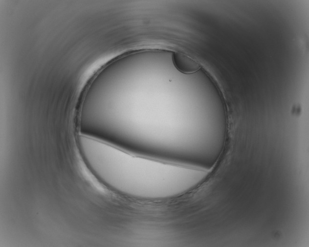 X0000110730995200906121306