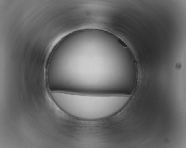 X0000110730996200906121306