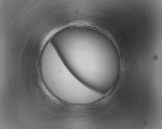 X0000110730997200906121306