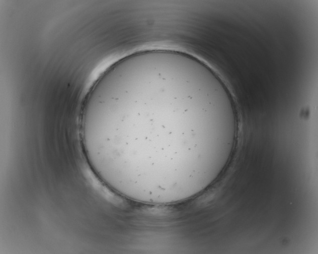 X0000110730998200906121306