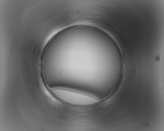 X0000110730999200906121306