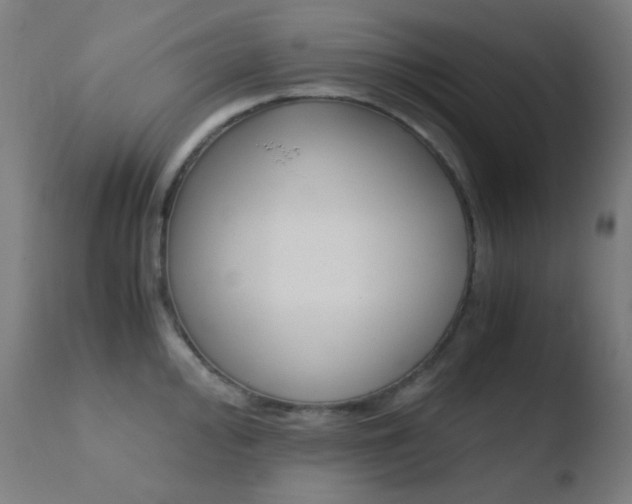 X0000110731000200906121306