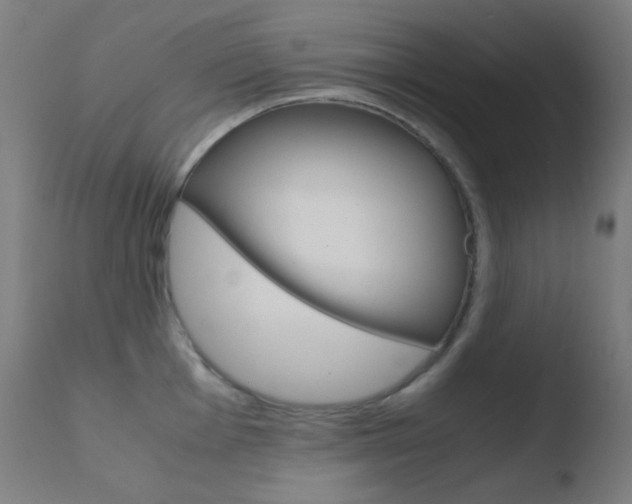 X0000110731001200906121306