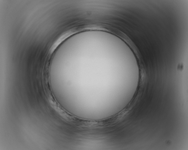 X0000110731002200906121306