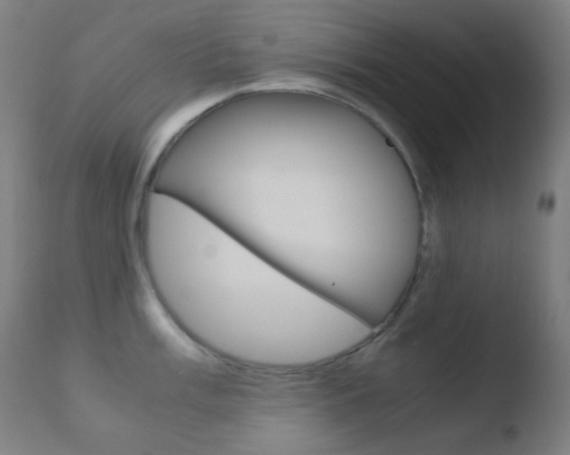 X0000110731003200906121306