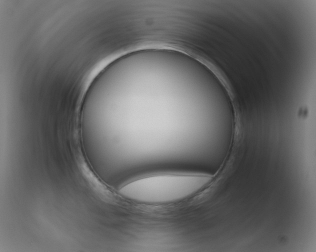 X0000110731004200906121306