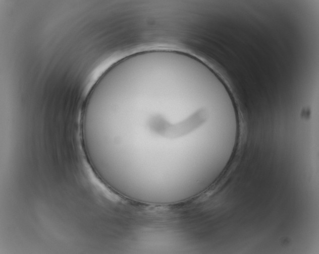 X0000110731006200906121306