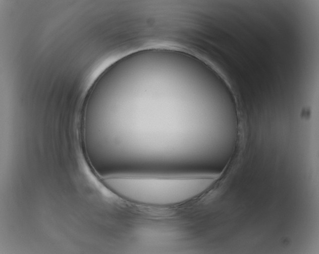 X0000110731007200906121306