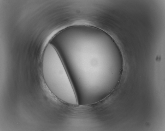 X0000110731008200906121306