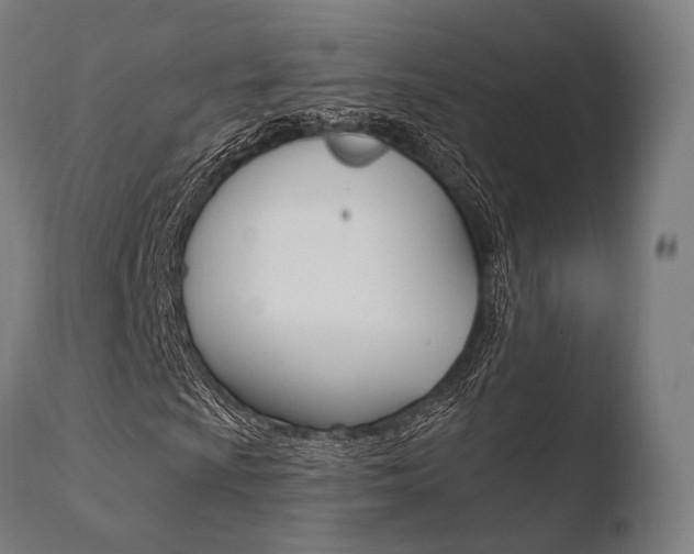 X0000110731009200906121305