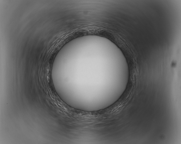 X0000110731010200906121305