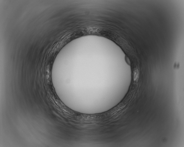 X0000110731011200906121305