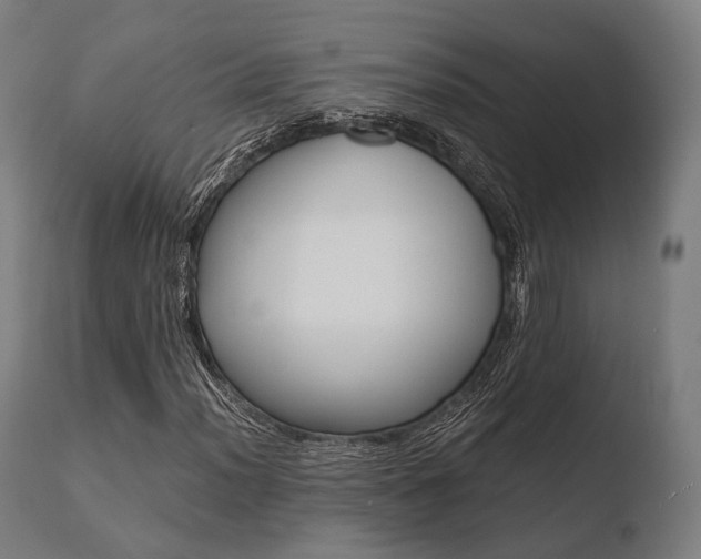 X0000110731012200906121305