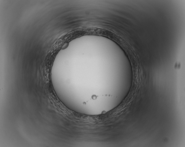 X0000110731013200906121305