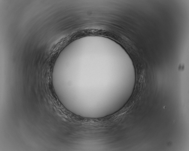 X0000110731014200906121306