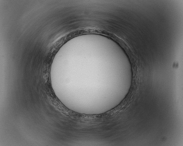 X0000110731015200906121306